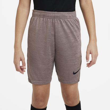 Nike Youth Academy Shorts