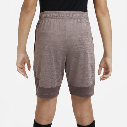 Nike Youth Academy Shorts
