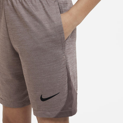 Nike Youth Academy Shorts