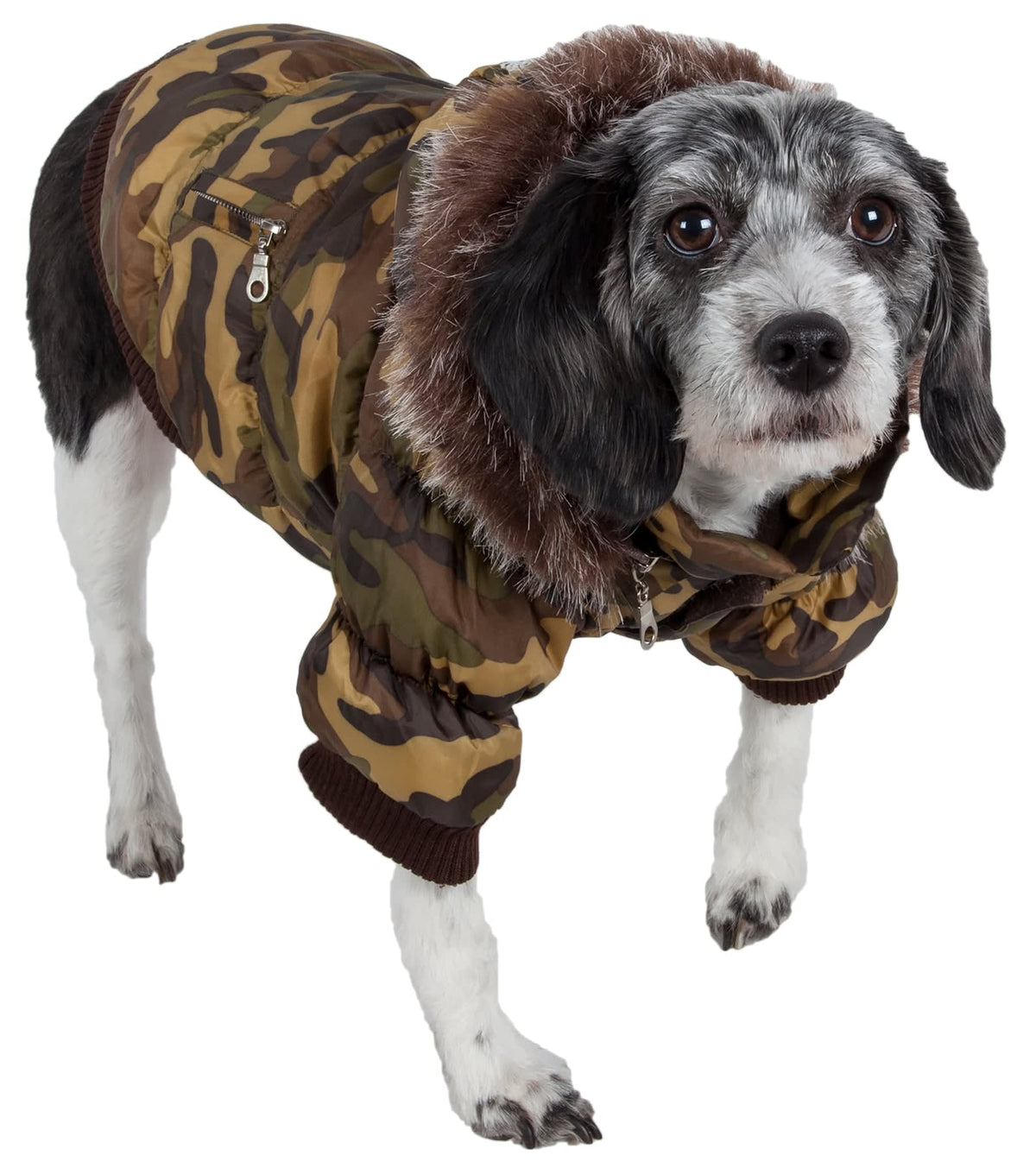 Forest Camouflage-