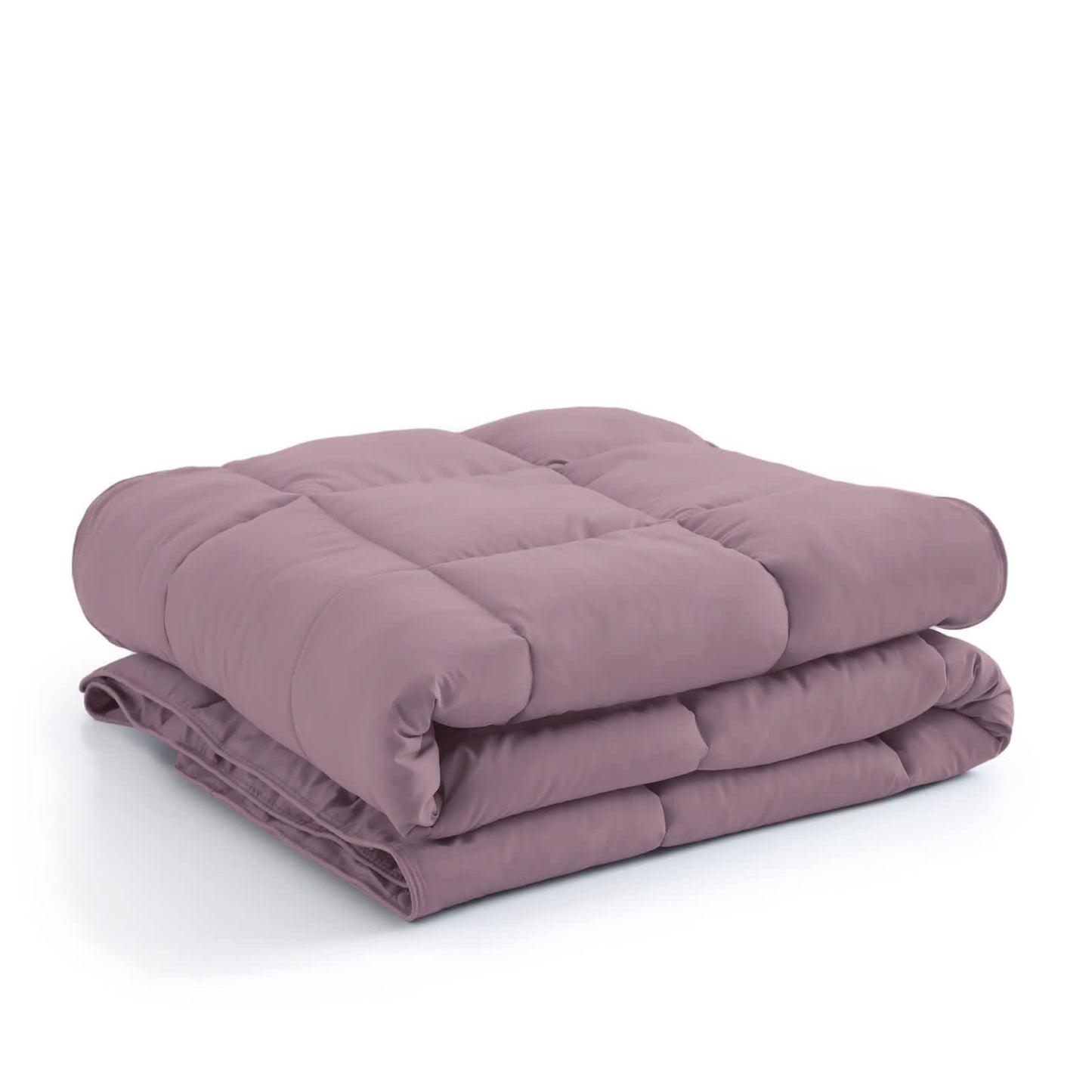 Lavender-