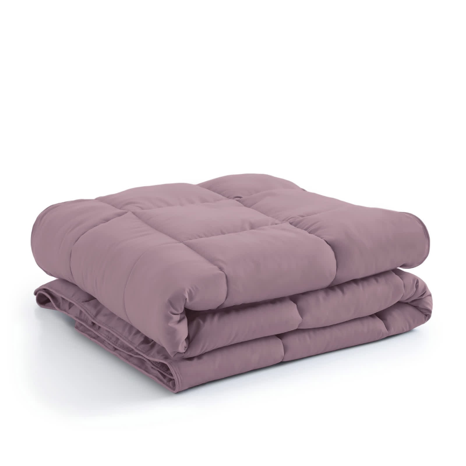 Lavender-
