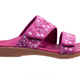 Fuchisa