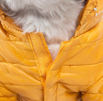 Mustard Yellow-