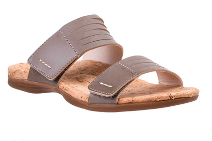 Fossil -