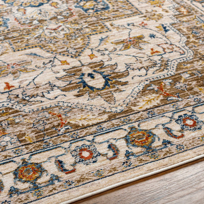 Anas Traditional Style Rug - Clearance