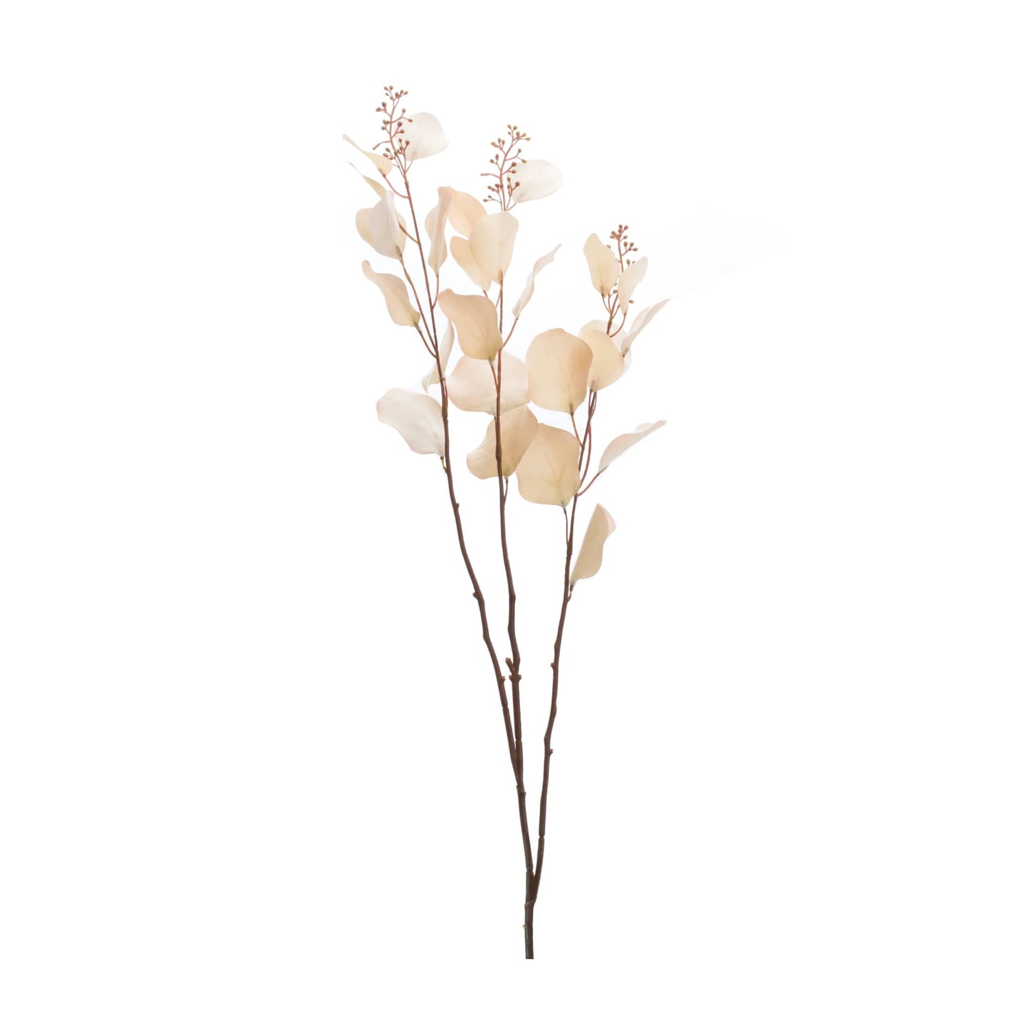 Melrose International Seeded Eucalyptus Stem (Set of 2)