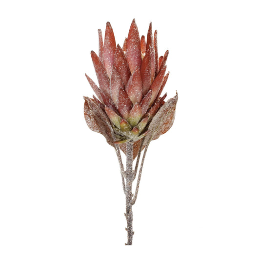 Melrose International Orange Protea Flower Stem (Set of 2)