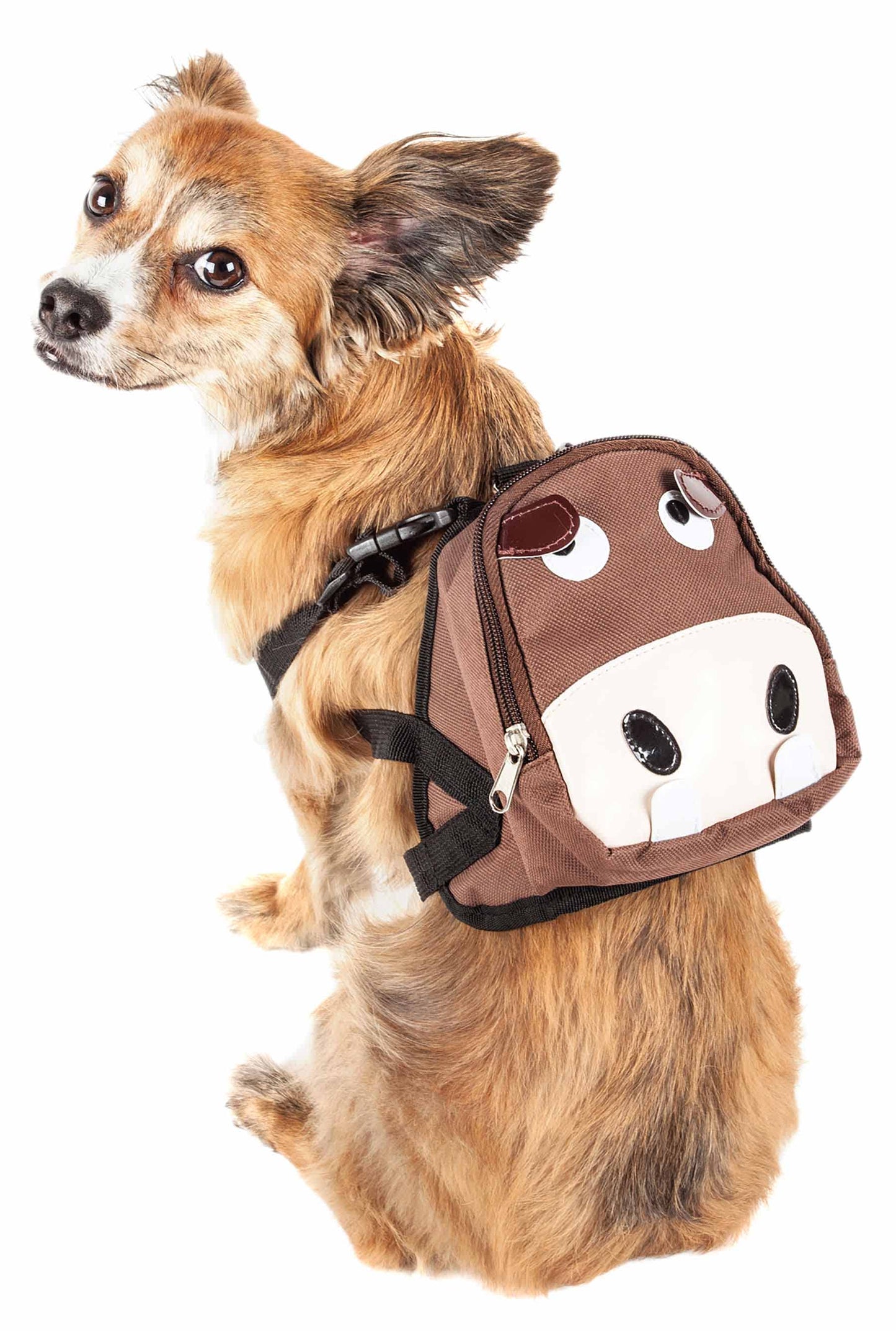 Brown-