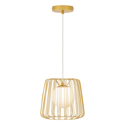 Gold/White-
