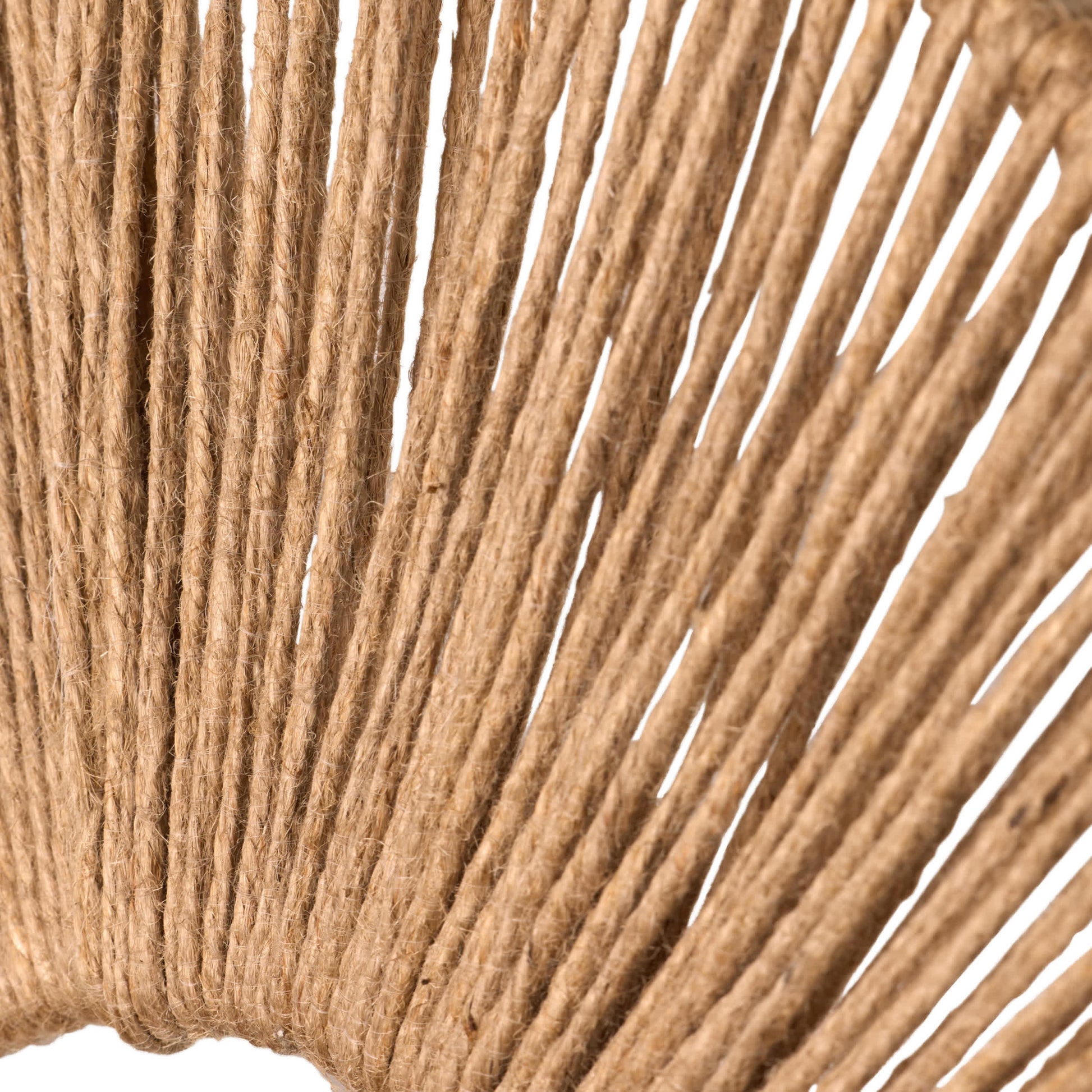 Brown/Gold-