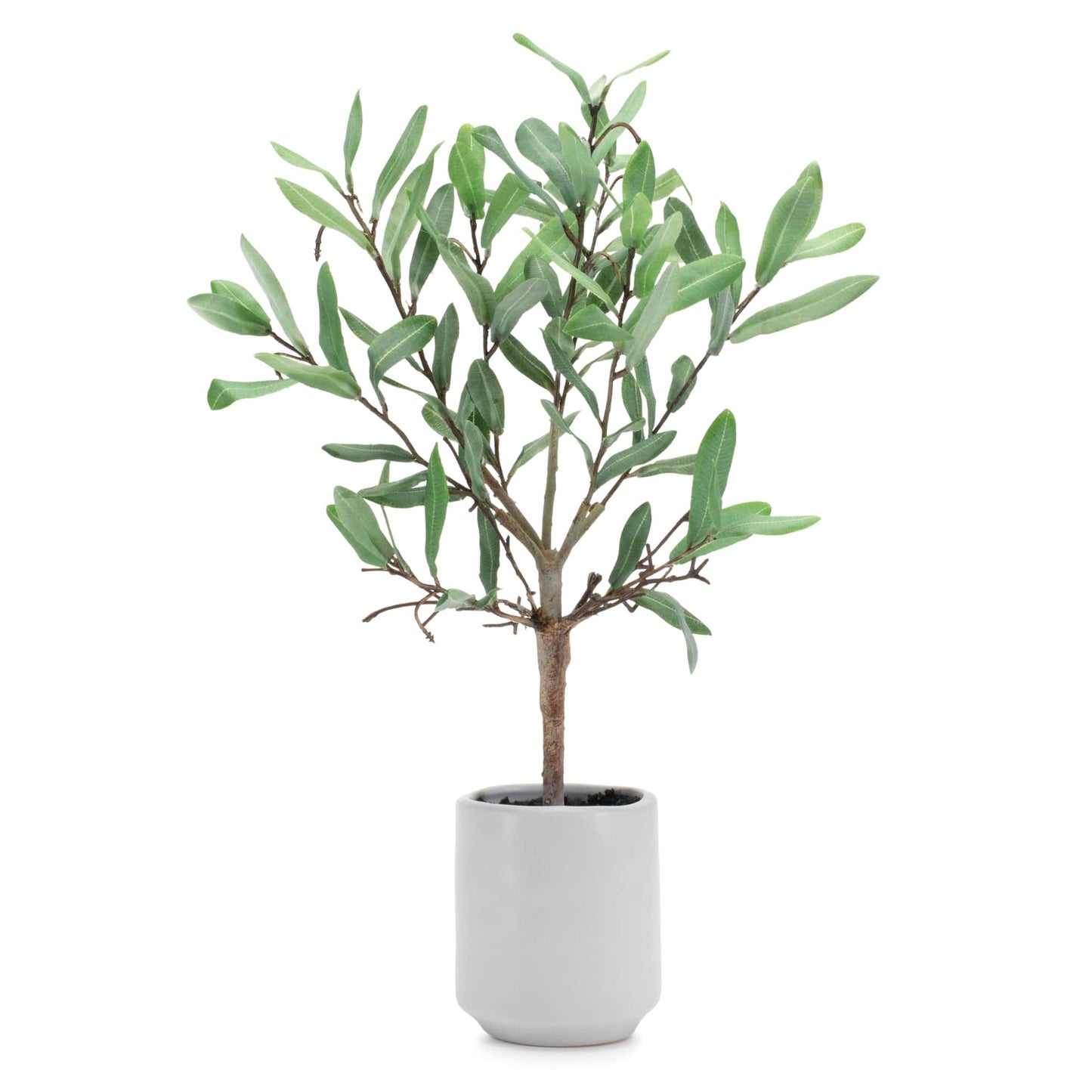 Melrose International Potted Olive Leaf Topiary 17.5"H