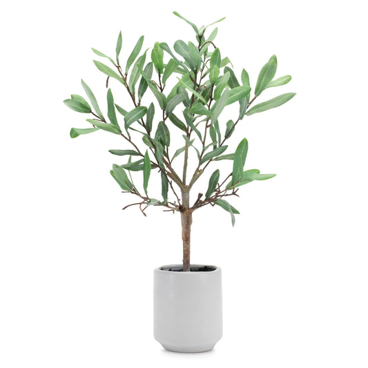 Melrose International Potted Olive Leaf Topiary 17.5"H