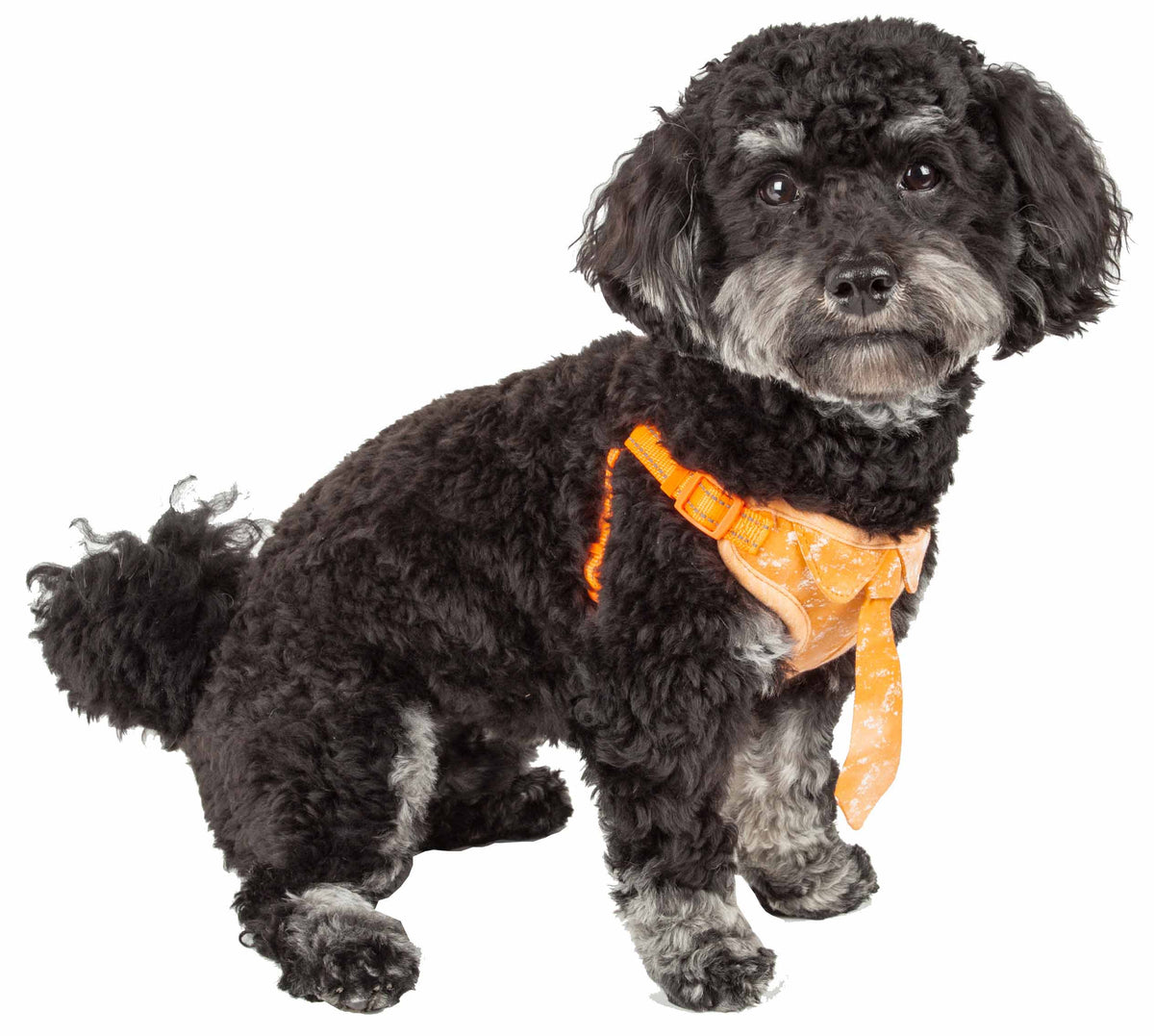 Orange-