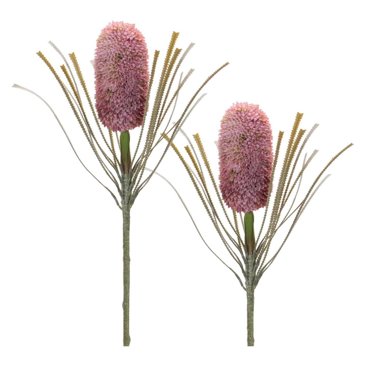 Melrose International Protea Floral Stem (Set of 2)