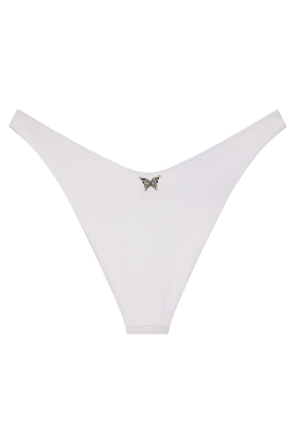Ludisia Bottom