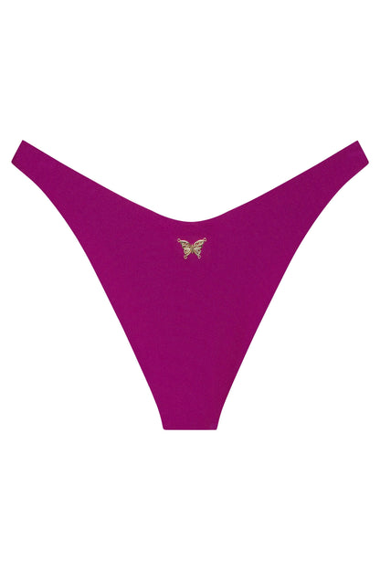 Ludisia Bottom