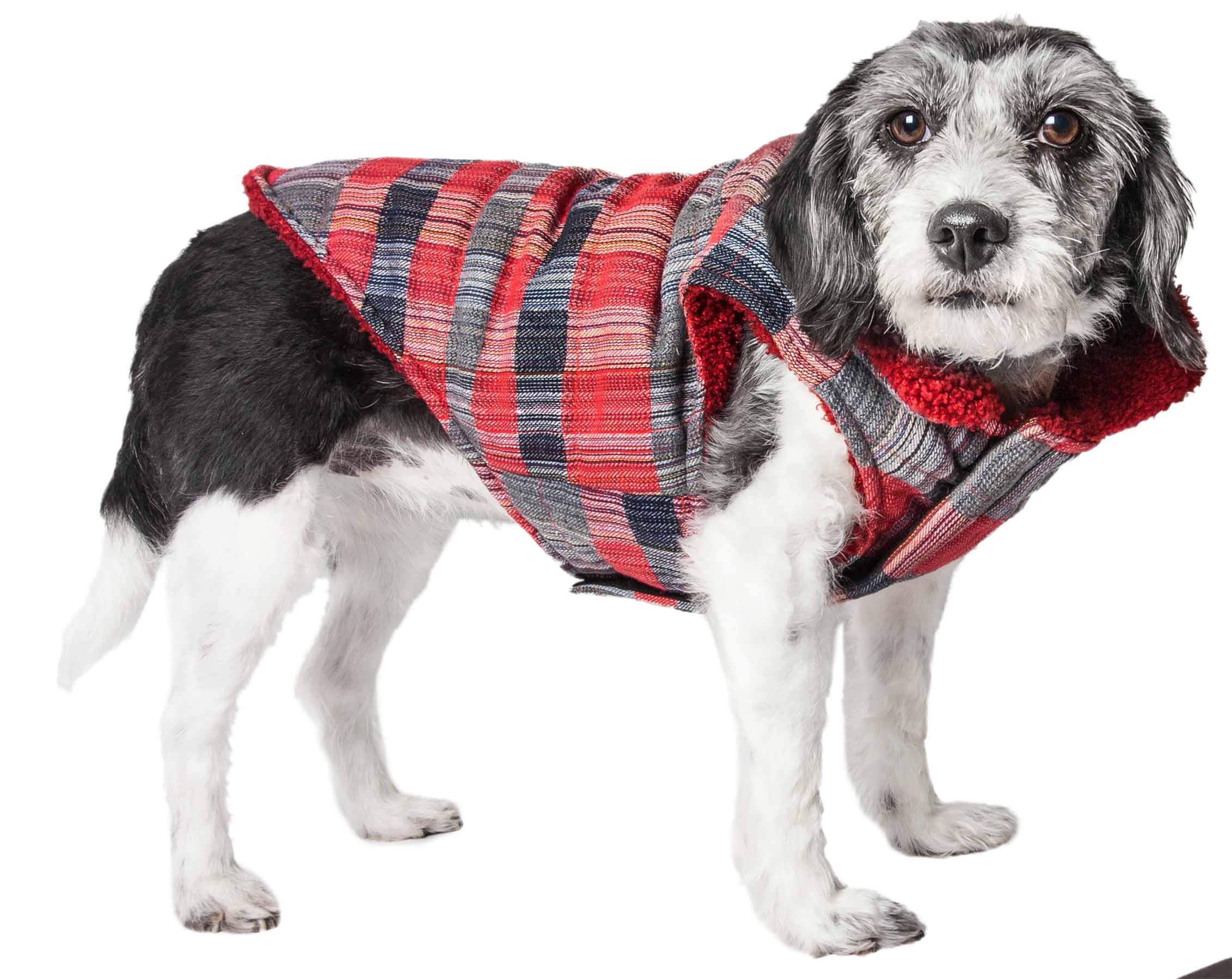 Pet Life 'Scotty' Tartan Classical Plaided Insulated Dog Coat Jacket ...