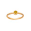 November Citrine