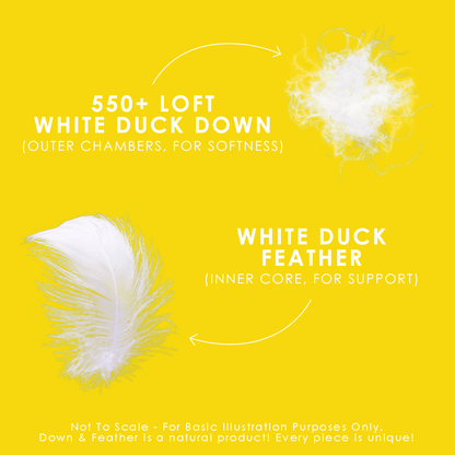 White-
