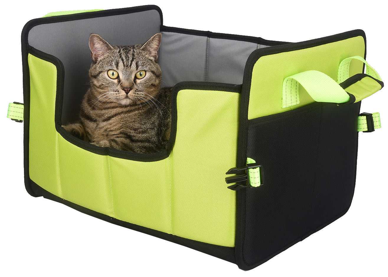 Green-