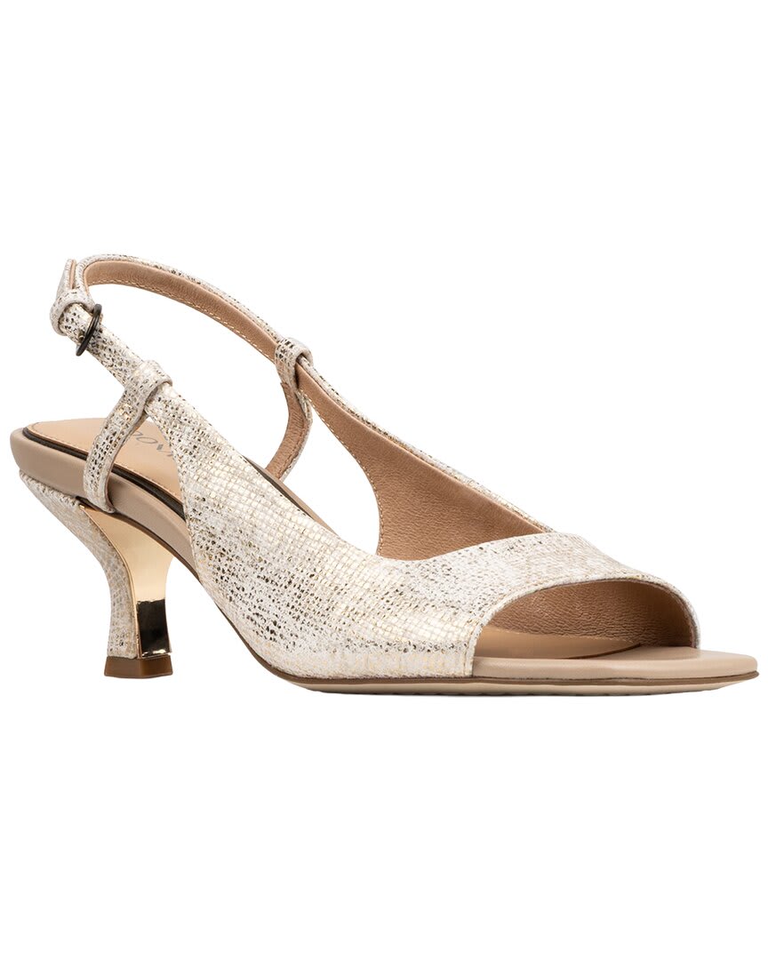 220 CAMEL-