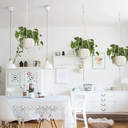 White-