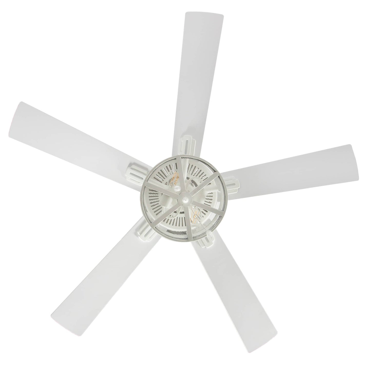 White-
