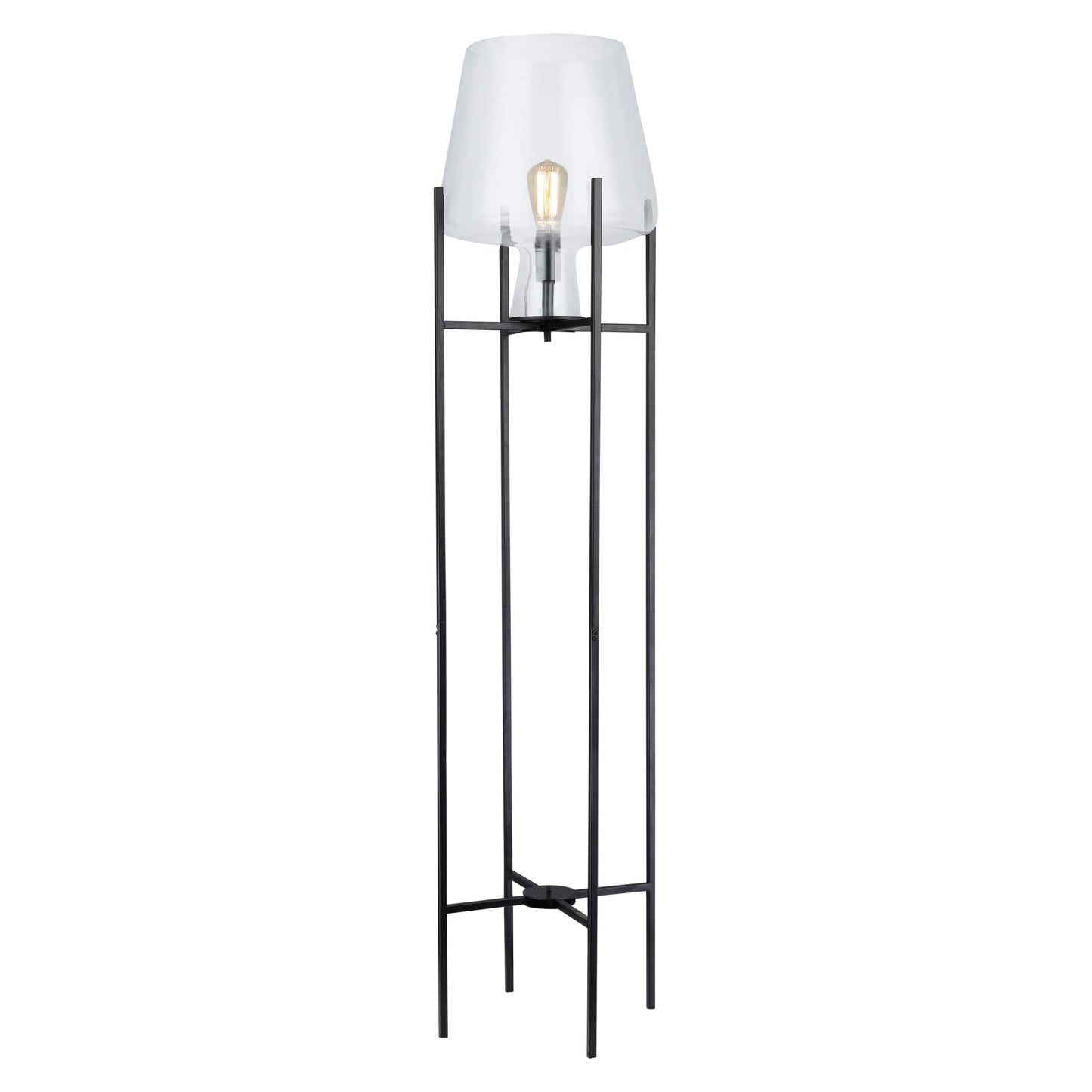 Clear/ Black-