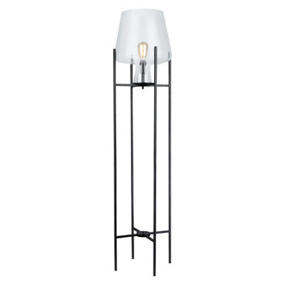 Clear/ Black-