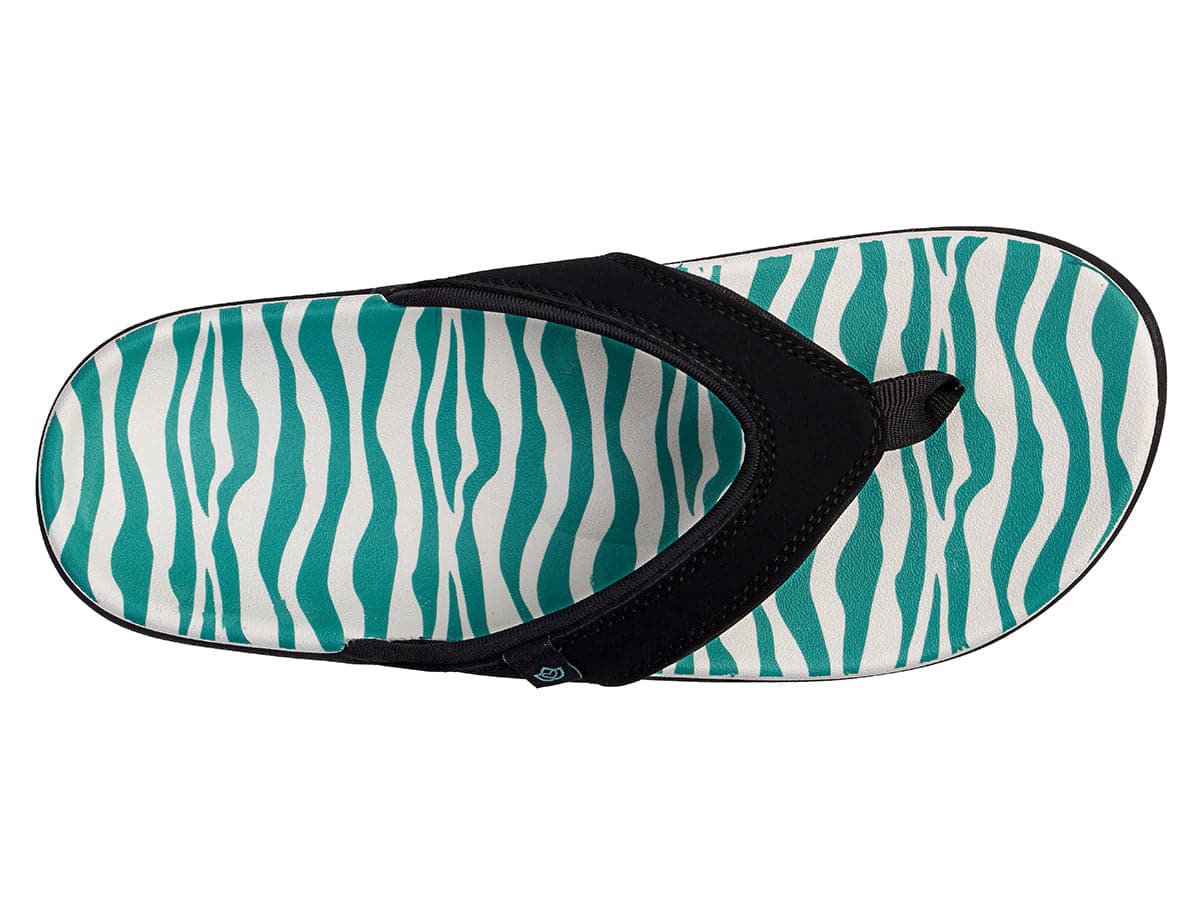 TEAL ZEBRA -