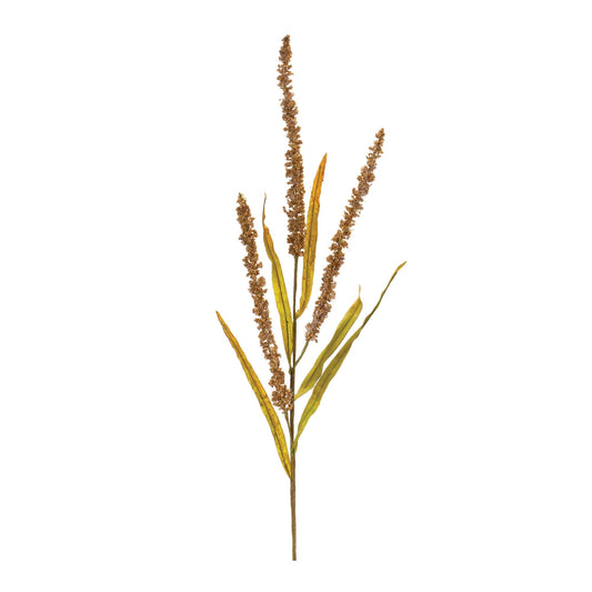 Melrose International Seeded Plume Spray (Set of 12)