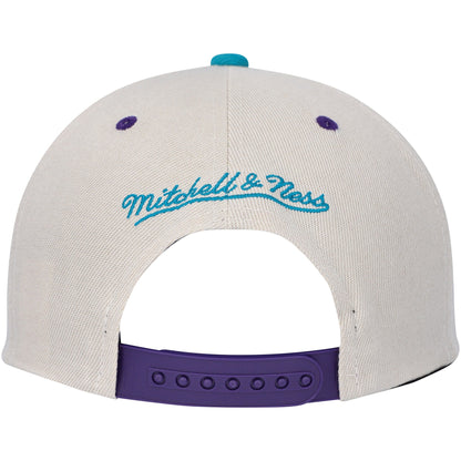 Mitchell & Ness Men's NBA Pop Panel Snapback Hwc Hornets Snapback Caps