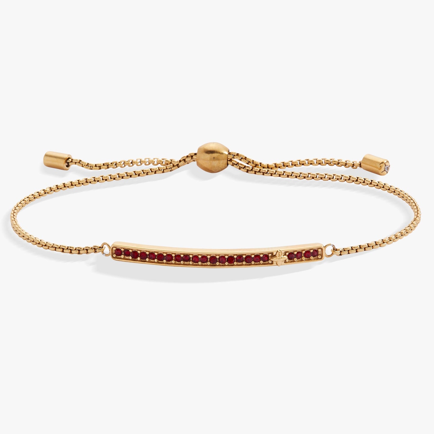 January Everyday Birthstone Pave Bolo Bracelet
