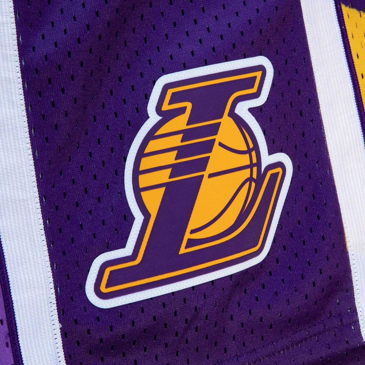 LA LAKERS 2009-