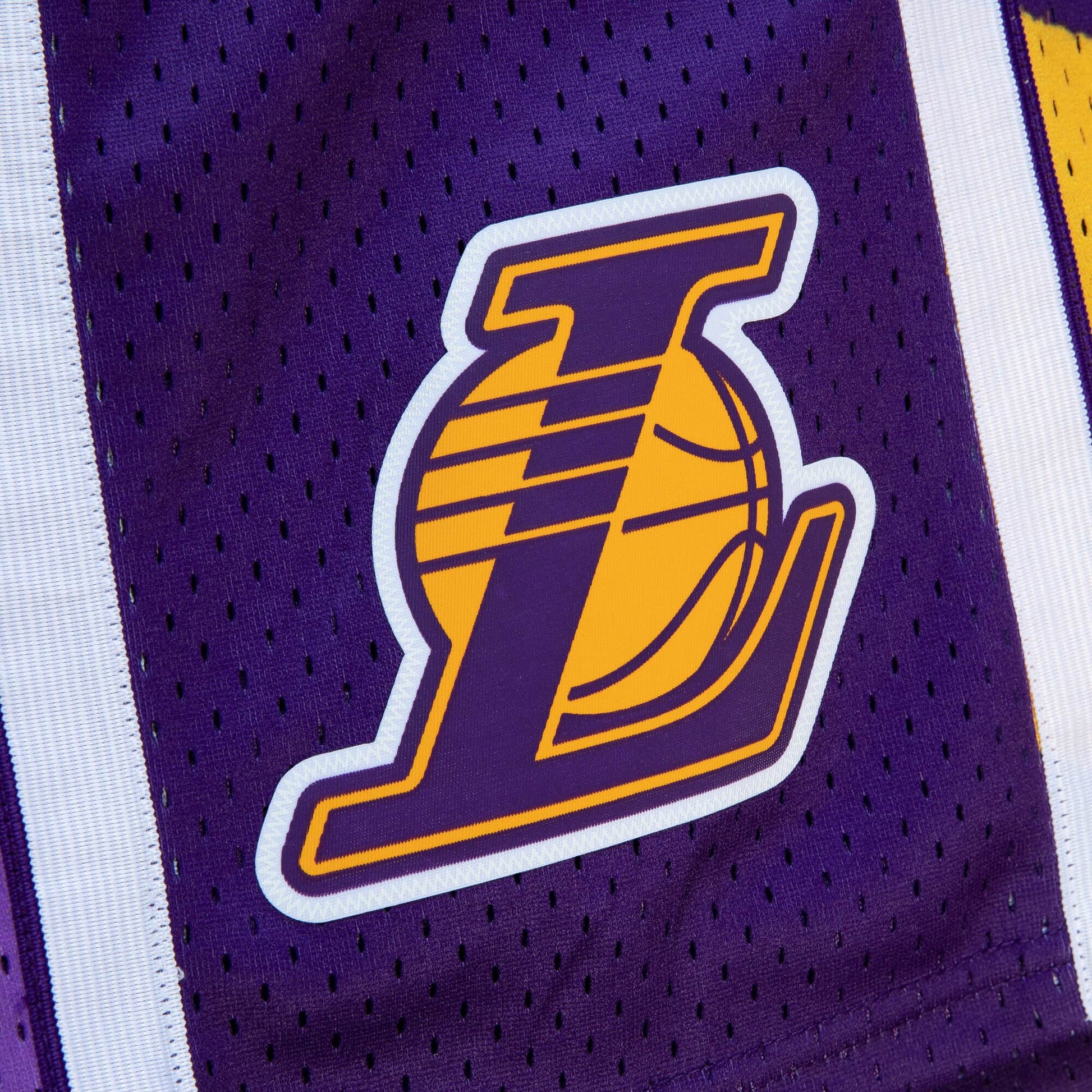 LA LAKERS 2009-