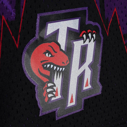 Mitchell & Ness NBA Team Marble Swingman Shorts Toronto Raptors 1998