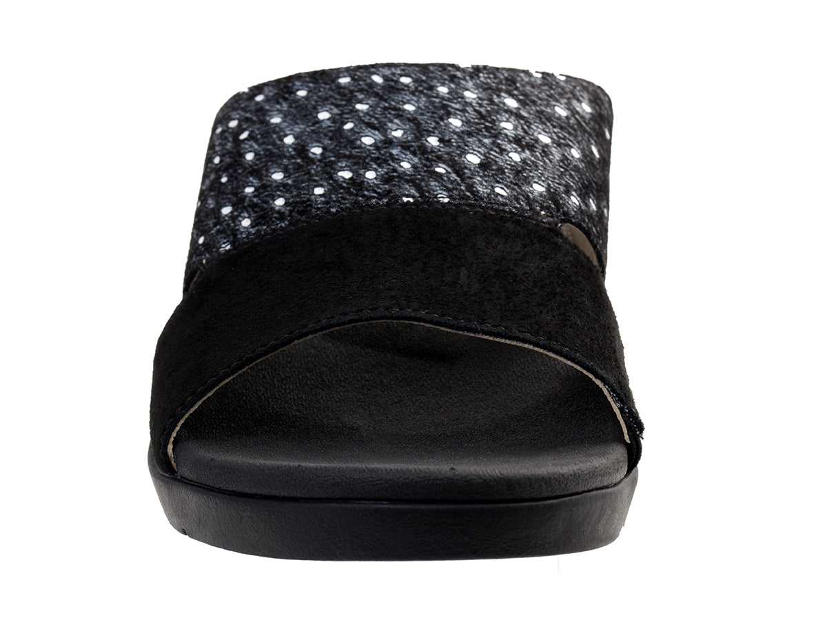 Black Ostrich -