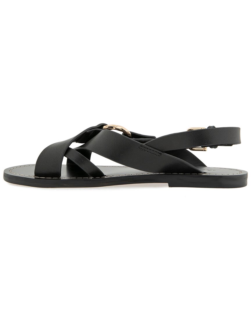 BLACK-