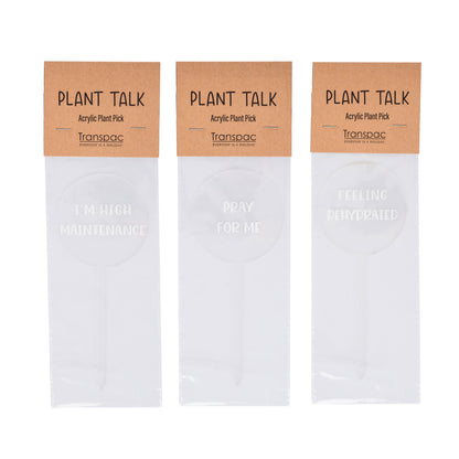Acrylic Survive Drink Forget Plant Picks Decorative Home Decor for Spring and Beyond