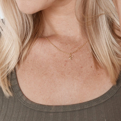 Pisces Zodiac Gift Necklace