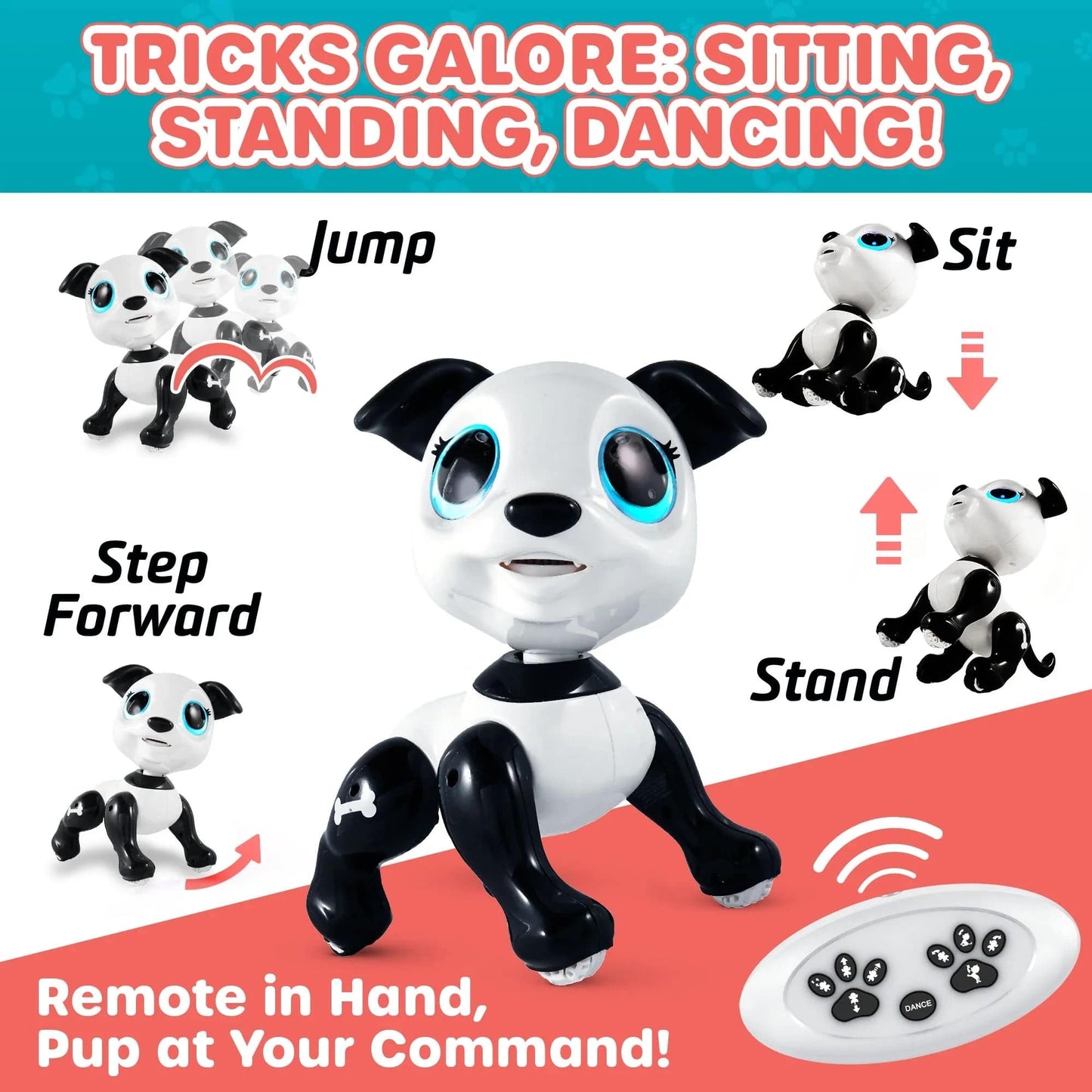 Black and white robot dog, white remoted, black, red, blue and gray food-