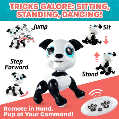 Black and white robot dog, white remoted, black, red, blue and gray food-