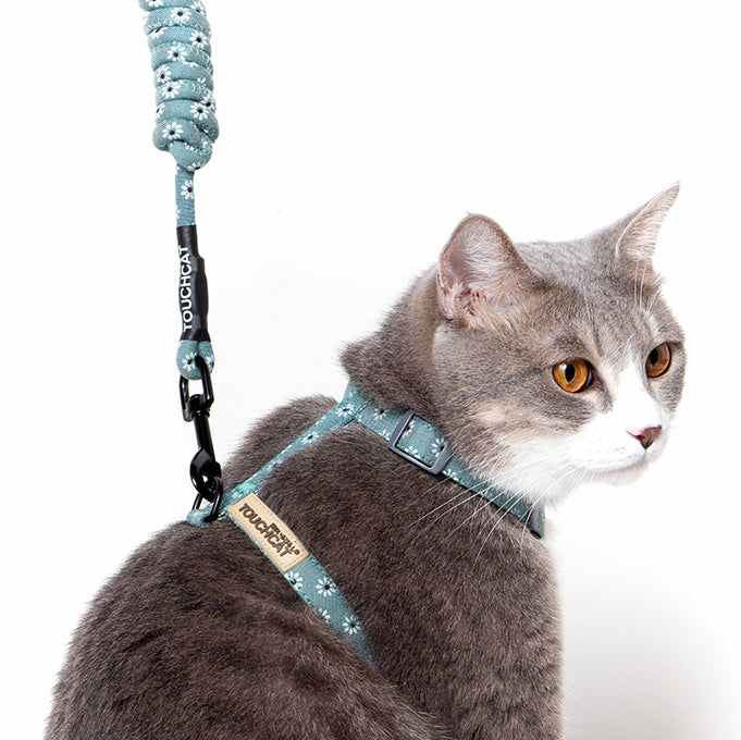 Sky Blue-
