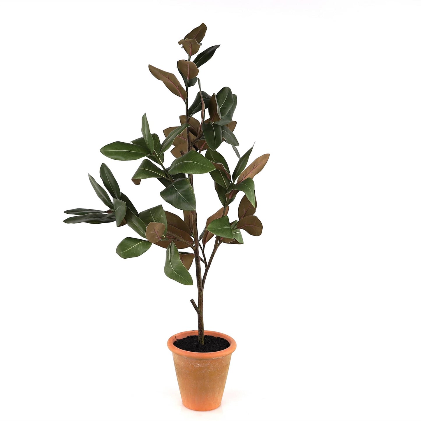 Melrose International Potted Magnolia Tree Topiary 22"H