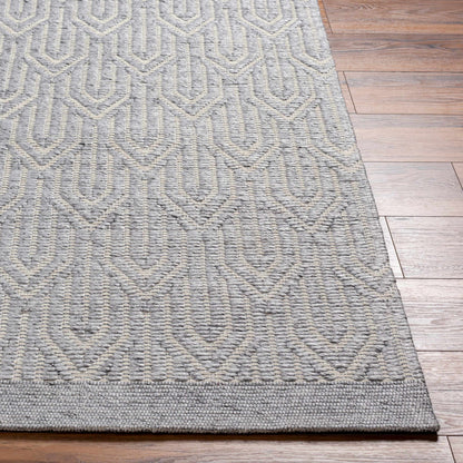 Peri Area Rug - Clearance