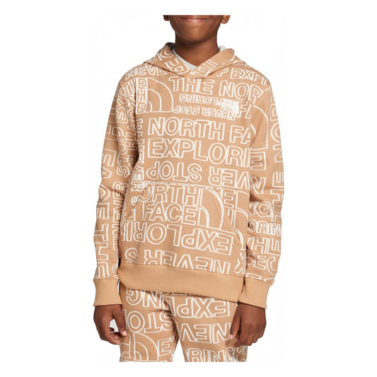 The North Face Youth Camp Fleece Pullover Hoodie Hoodies