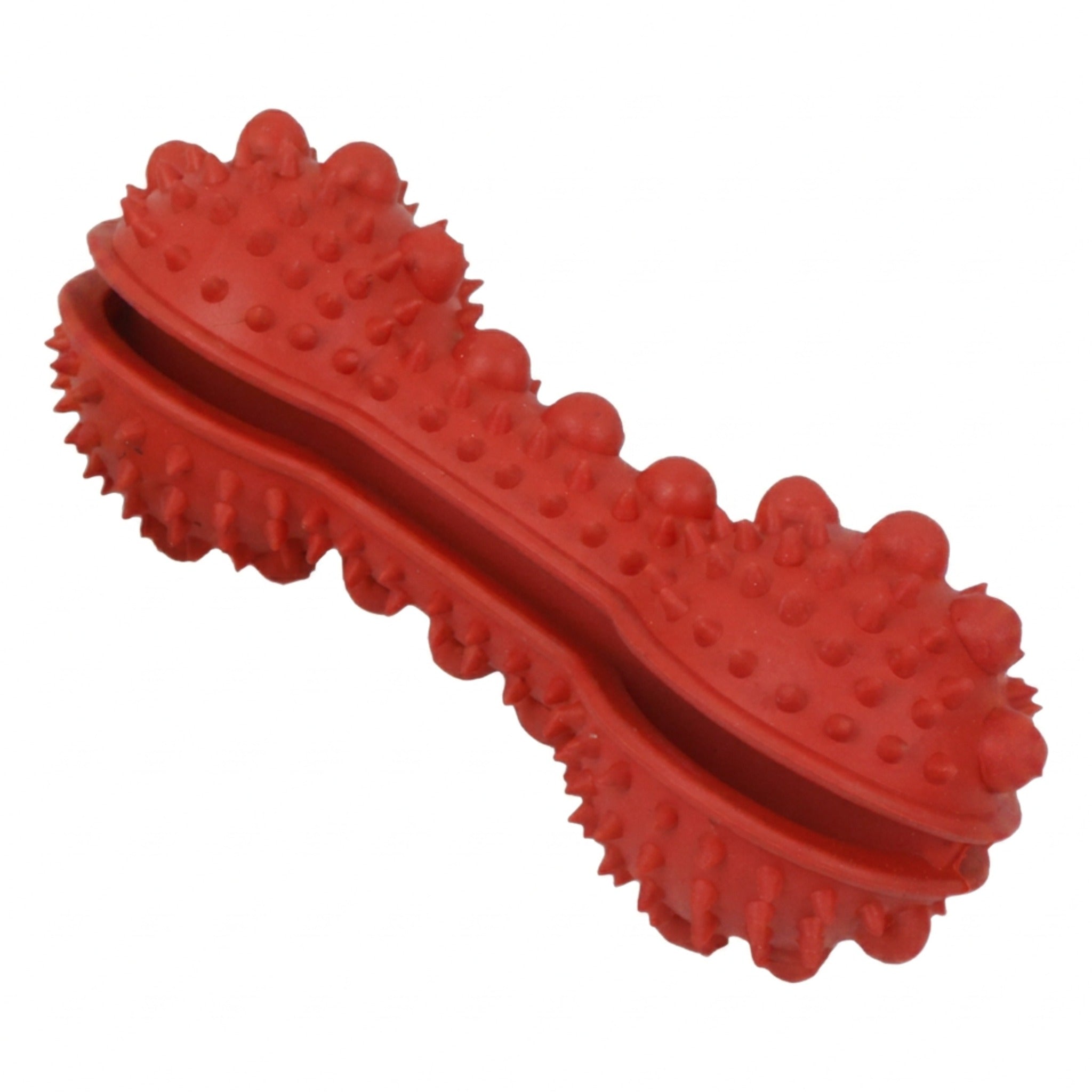 Pet Life 'Denta-Bone' TPR Treat Dispensing and Dental Cleaning