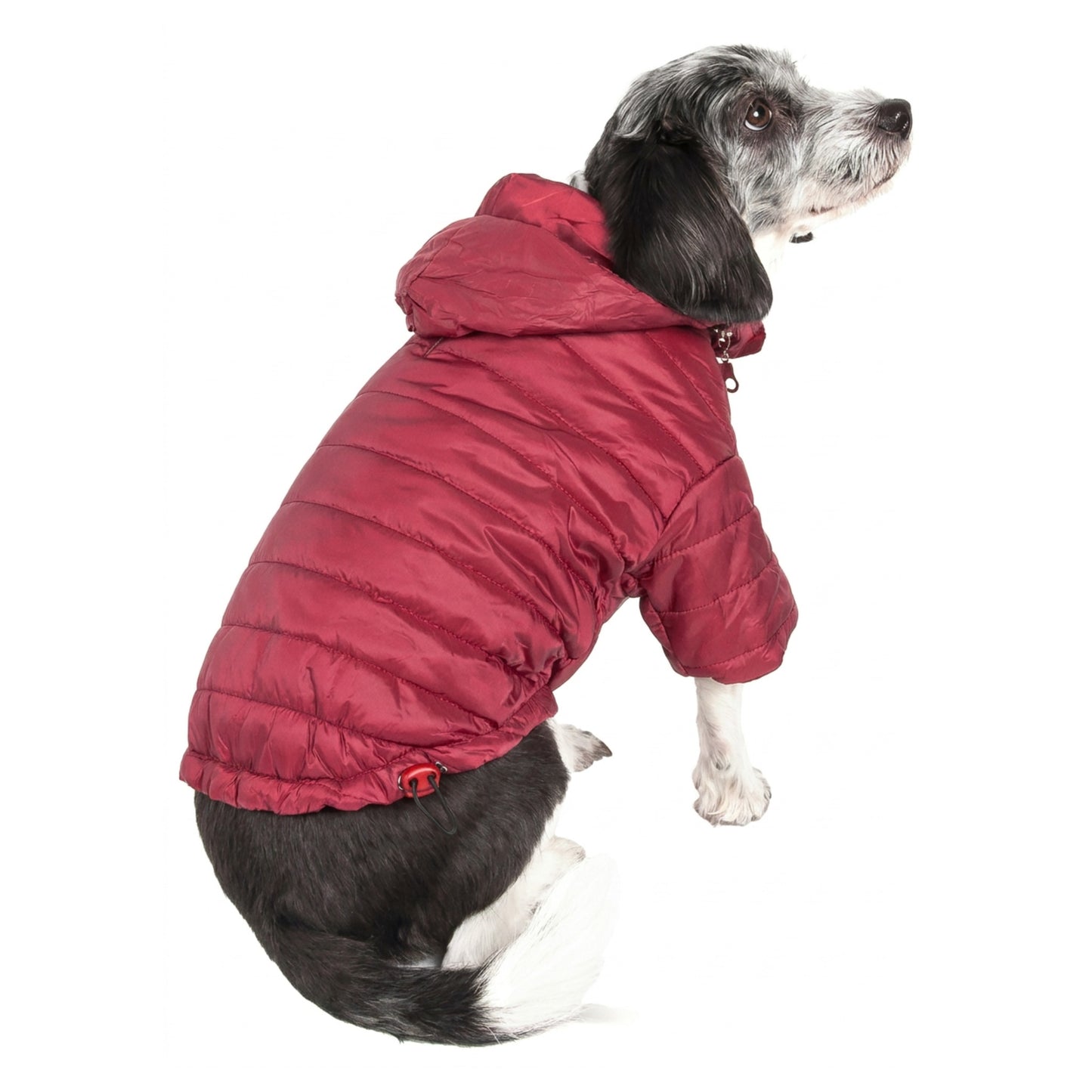 Pet Life Lightweight Adjustable 'Sporty Avalanche' Pet Coat