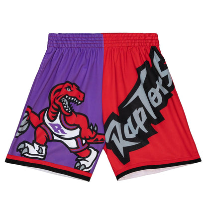 Mitchell & Ness NBA Big Face Fashion Shorts 5.0 Toronto Raptors